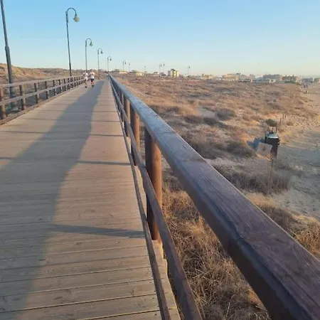 4adelfas4 Torrevieja